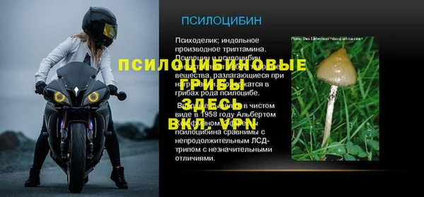 стафф Баксан