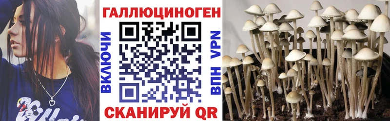 Галлюциногенные грибы мицелий  hydra как войти  Североуральск 