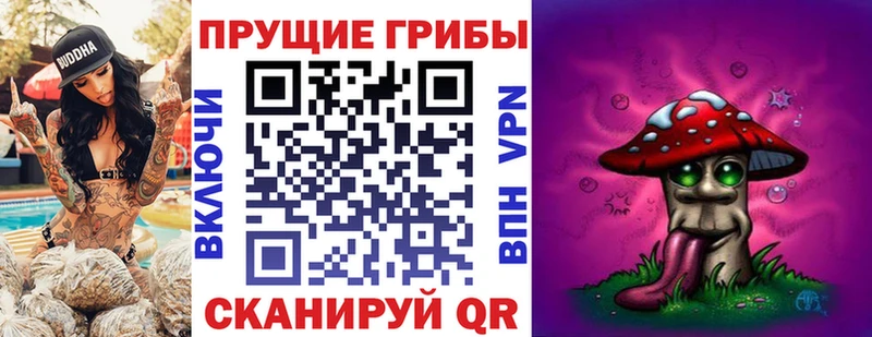 Псилоцибиновые грибы мицелий Североуральск