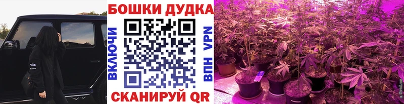 МАРИХУАНА LSD WEED  shop клад  Североуральск  где найти наркотики 